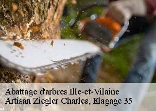 Abattage d'arbres 35 Ille-et-Vilaine  Artisan Ziegler Charles, Elagage 35