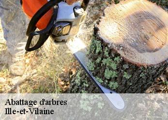 Abattage d'arbres Ille-et-Vilaine 