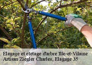 Elagage et etetage d'arbre 35 Ille-et-Vilaine  Artisan Ziegler Charles, Elagage 35