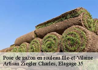 Pose de gazon en rouleau 35 Ille-et-Vilaine  Artisan Ziegler Charles, Elagage 35