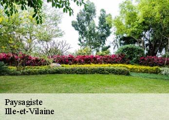 Paysagiste Ille-et-Vilaine