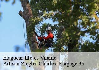 Elagueur 35 Ille-et-Vilaine  Artisan Ziegler Charles, Elagage 35