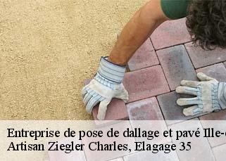 Entreprise de pose de dallage et pavé 35 Ille-et-Vilaine  Artisan Ziegler Charles, Elagage 35