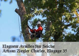 Elagueur  availles-sur-seiche-35130 Artisan Ziegler Charles, Elagage 35