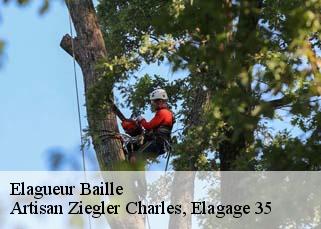 Elagueur  baille-35460 Artisan Ziegler Charles, Elagage 35