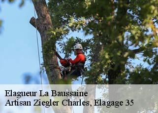 Elagueur  la-baussaine-35190 Artisan Ziegler Charles, Elagage 35