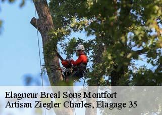 Elagueur  breal-sous-montfort-35310 Artisan Ziegler Charles, Elagage 35