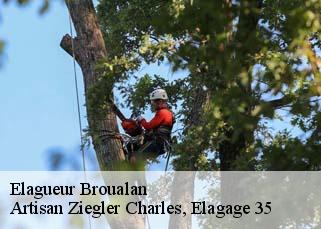 Elagueur  broualan-35120 Artisan Ziegler Charles, Elagage 35