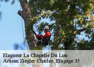 Elagueur  la-chapelle-du-lou-35360 Artisan Ziegler Charles, Elagage 35