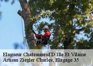 Elagueur  chateauneuf-d-ille-et-vilaine-35430 Artisan Ziegler Charles, Elagage 35