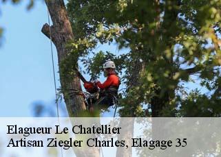 Elagueur  le-chatellier-35133 Artisan Ziegler Charles, Elagage 35