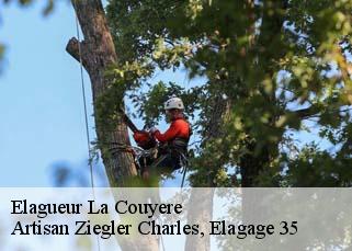 Elagueur  la-couyere-35320 Artisan Ziegler Charles, Elagage 35