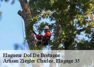 Elagueur  dol-de-bretagne-35120 Artisan Ziegler Charles, Elagage 35