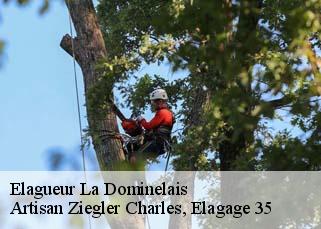 Elagueur la-dominelais-35390 Artisan Ziegler Charles, Elagage 35