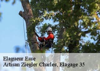 Elagueur  esse-35150 Artisan Ziegler Charles, Elagage 35