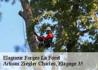 Elagueur  forges-la-foret-35640 Artisan Ziegler Charles, Elagage 35