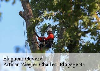 Elagueur  geveze-35850 Artisan Ziegler Charles, Elagage 35