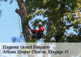 Elagueur  grand-fougeray-35390 Artisan Ziegler Charles, Elagage 35