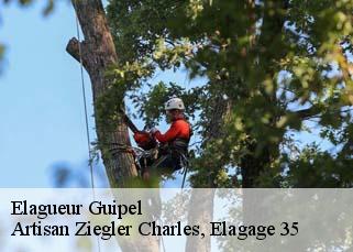 Elagueur guipel-35440 Artisan Ziegler Charles, Elagage 35