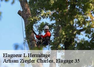 Elagueur  l-hermitage-35590 Artisan Ziegler Charles, Elagage 35