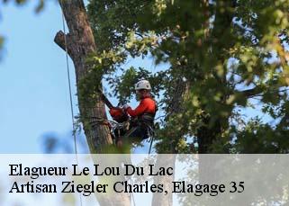 Elagueur  le-lou-du-lac-35360 Artisan Ziegler Charles, Elagage 35