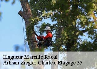 Elagueur  marcille-raoul-35560 Artisan Ziegler Charles, Elagage 35