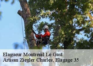 Elagueur  montreuil-le-gast-35520 Artisan Ziegler Charles, Elagage 35