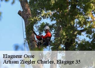 Elagueur  osse-35410 Artisan Ziegler Charles, Elagage 35