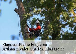 Elagueur  pleine-fougeres-35610 Artisan Ziegler Charles, Elagage 35