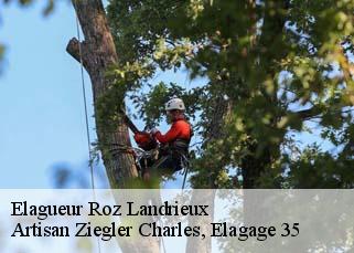 Elagueur roz-landrieux-35120 Artisan Ziegler Charles, Elagage 35