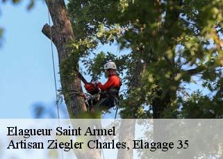 Elagueur saint-armel-35230 Artisan Ziegler Charles, Elagage 35