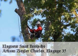 Elagueur  saint-broladre-35120 Artisan Ziegler Charles, Elagage 35