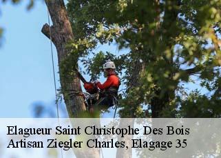 Elagueur  saint-christophe-des-bois-35210 Artisan Ziegler Charles, Elagage 35