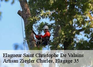 Elagueur  saint-christophe-de-valains-35140 Artisan Ziegler Charles, Elagage 35