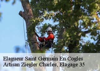 Elagueur  saint-germain-en-cogles-35133 Artisan Ziegler Charles, Elagage 35