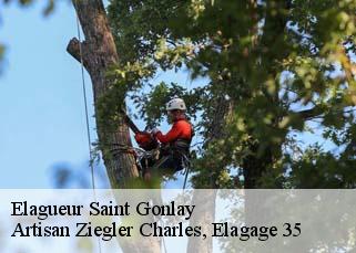 Elagueur  saint-gonlay-35750 Artisan Ziegler Charles, Elagage 35