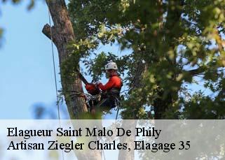 Elagueur  saint-malo-de-phily-35480 Artisan Ziegler Charles, Elagage 35