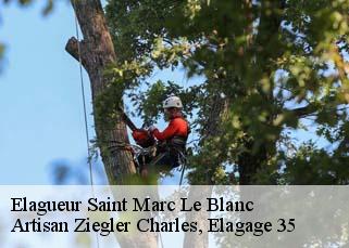 Elagueur  saint-marc-le-blanc-35460 Artisan Ziegler Charles, Elagage 35