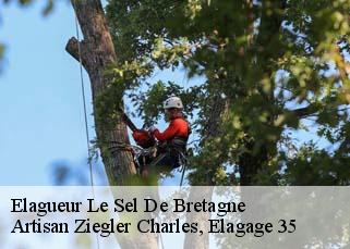 Elagueur  le-sel-de-bretagne-35320 Artisan Ziegler Charles, Elagage 35