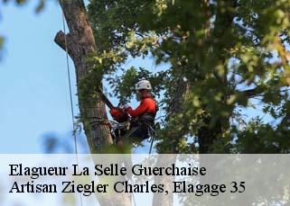 Elagueur la-selle-guerchaise-35130 Artisan Ziegler Charles, Elagage 35