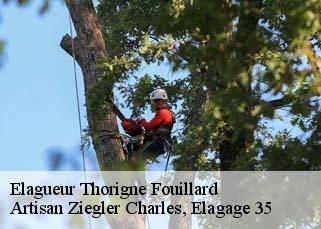 Elagueur  thorigne-fouillard-35235 Artisan Ziegler Charles, Elagage 35