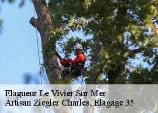 Elagueur  le-vivier-sur-mer-35960 Artisan Ziegler Charles, Elagage 35