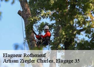 Elagueur  rotheneuf-35400 Artisan Ziegler Charles, Elagage 35