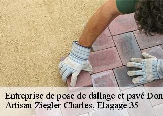Entreprise de pose de dallage et pavé domloup-35410 Artisan Ziegler Charles, Elagage 35