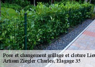 Pose et changement grillage et cloture  lieuron-35550 Artisan Ziegler Charles, Elagage 35