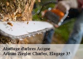Abattage d'arbres  acigne-35690 Artisan Ziegler Charles, Elagage 35