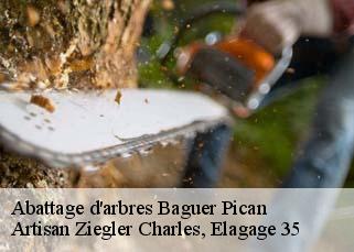 Abattage d'arbres baguer-pican-35120 Artisan Ziegler Charles, Elagage 35
