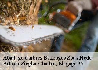 Abattage d'arbres  bazouges-sous-hede-35630 Artisan Ziegler Charles, Elagage 35