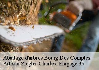 Abattage d'arbres bourg-des-comptes-35890 Artisan Ziegler Charles, Elagage 35