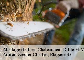 Abattage d'arbres  chateauneuf-d-ille-et-vilaine-35430 Artisan Ziegler Charles, Elagage 35